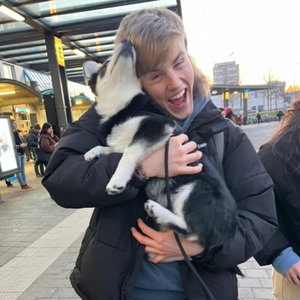 Cormac, Puppyopvang in Kruidenbuurt, Eindhoven