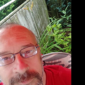 Harry, Gassi-Service in Germersheim
