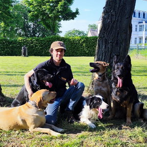 Daniel, Seniorenhundebetreuung in Berlin