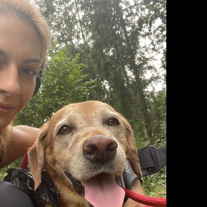 Kameliya, Seniorenhundebetreuung in Grasbrunn