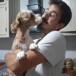 Berkay, Seniorenhundebetreuung in Berlin