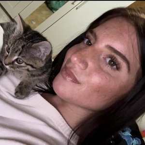 Irem, Cat Sitting in Kaarst