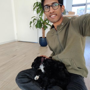 Ajay, Hondenpension in Son