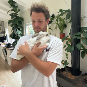 Paul, House Sitting in Zaandijk