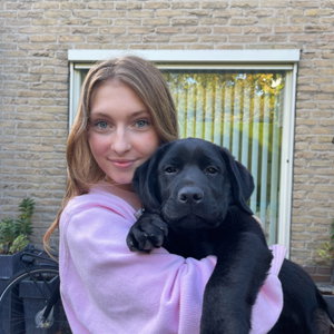 Yelina, Puppyopvang in Maastricht Centrum, Maastricht