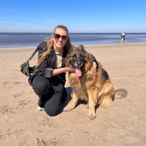 Laura, Pet Sitting in Zwanenburg