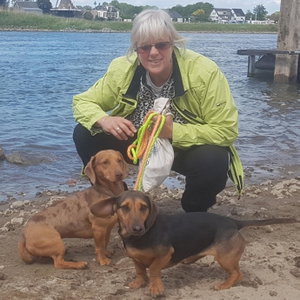 Astrid, Hondenpension in Lierderholthuis