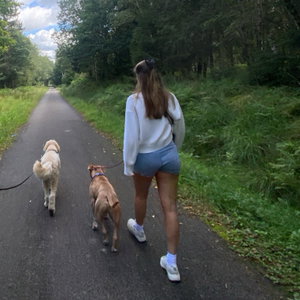 Sofie, Hondenpension in Delfgauw