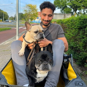 Steffan, Hondenopvang in Groningen 