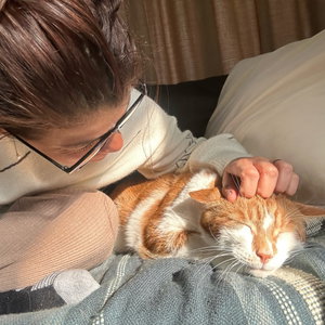 Vivi, Hondenuitlaatservice in 's Gravenzande