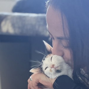 Maria, Kattenoppas in Nederland