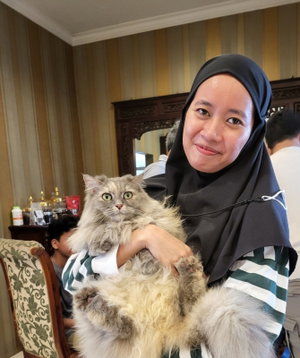 Fauzia Nafiz, Kattenoppas in Nederland