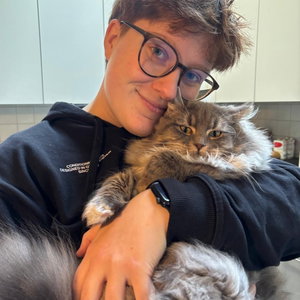 Ieuwke, Kattenoppas in Menen