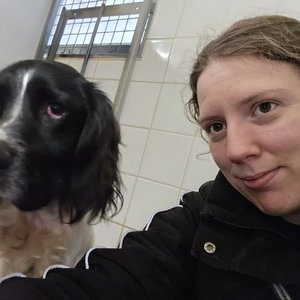 Sabine, Kattenoppas in Dieren