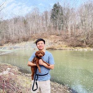Kevin, Puppyopvang in Wageningen