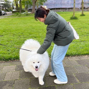 Ying, Kattenoppas in 's Gravenhage