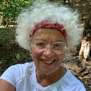 alice, Hondenpension in Everdingen