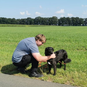 nick, Huisoppas in St. Willebrord
