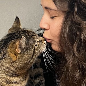 Naära, Kattenoppas in Teteringen