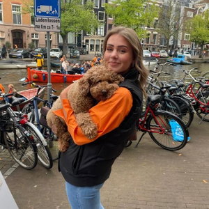 Thirza, Puppyopvang in Alkmaar