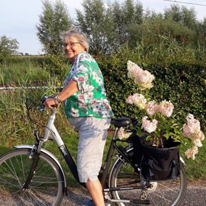 Pink, Hondenpension in Holten