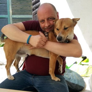 Rainer, Seniorenhundebetreuung in Berlin