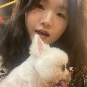 Chaemee, Hondenoppas in Eindhoven