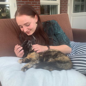 Sascha, Hondenpension in Heteren