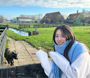 Alaia, Hondenoppas in Rotterdam