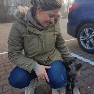 Milou, Hondenpension in Volendam