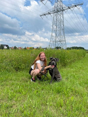 Jolein, Dog Boarding in Geleen