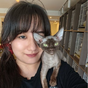 Jiaqi, Cat Sitting in Tiel