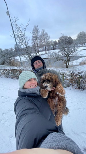 Fabio, Dog Boarding in Nederhemert