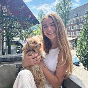 Saffraan, Hondenpension in Amsterda