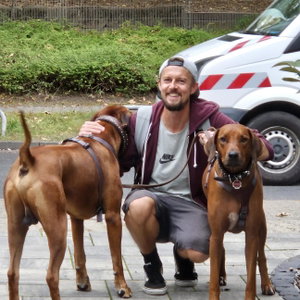 Tomasz, Seniorenhundebetreuung in Frankfurt Am Main