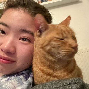 Hongming, Huisoppas in 's Gravenhage