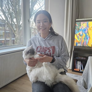 Yu, Kattenoppas in Groningen 