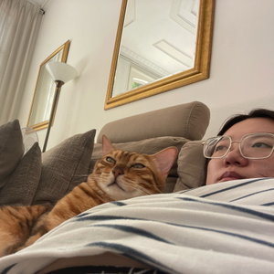 Wenxi, Kattenoppas in Ankeveen