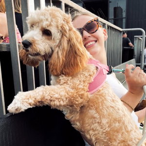 Marlene, Seniorenhundebetreuung in Hamburg