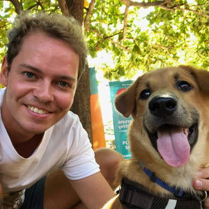 Henning, Seniorenhundebetreuung in Hamburg