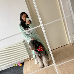 Kajal, Hondenuitlaatservice in 's Gravenhage