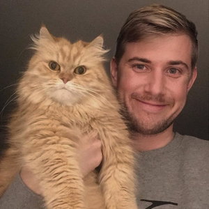 Niek, Cat Sitting in Doornspijk