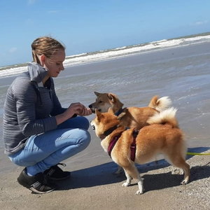 Laura, Huisoppas in St. Willebrord