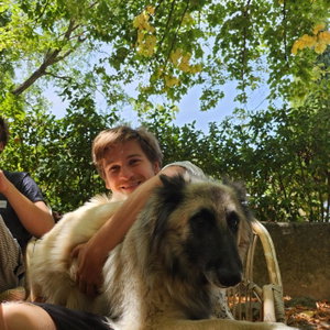 Alex, Dog Walking in Noordoost, Utrecht