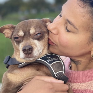 Ruby, Hondenpension in Amsterda