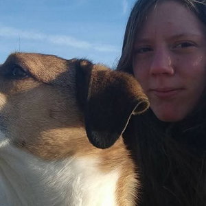 Sabine, Hondenpension in Dieren