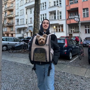 Saba, Katzensitter in Lichterfelde West, Berlin