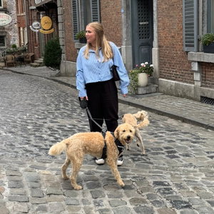 Romy, Puppyopvang in Arnhem