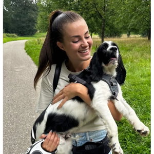 Caro, Dog Boarding in Herzogenrath