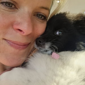 Emma, Hondenpension in Weespersluis, Weesp